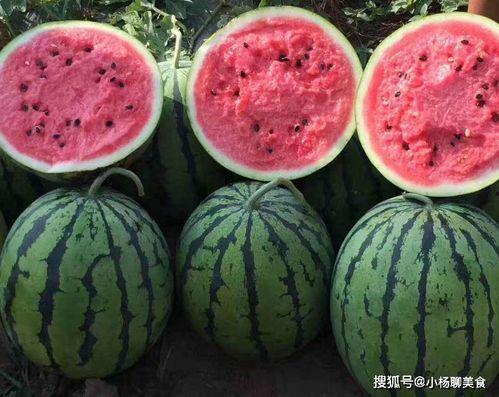 黑不黑妹吃瓜,揭秘娱乐圈幕后真相