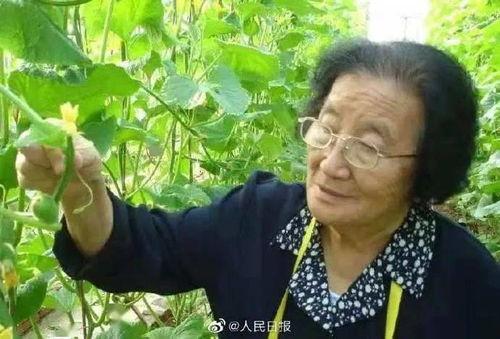 黑不黑妹吃瓜,揭秘娱乐圈幕后真相