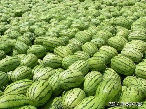热门大瓜今日大瓜最新