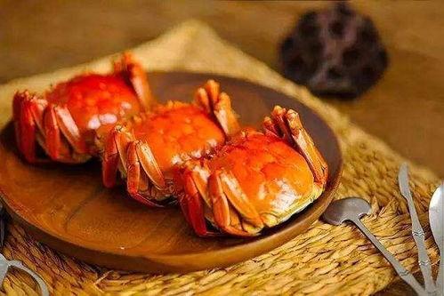 黑毛瓜煮螃蟹可以吃吗,探寻传统美食的奥秘与食用指南