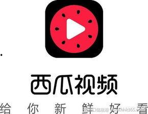 抖音今日的瓜,揭秘最新瓜皮事件