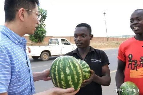 网爆黑料吃瓜新闻最新消息,吃瓜群众热议最新热点事件