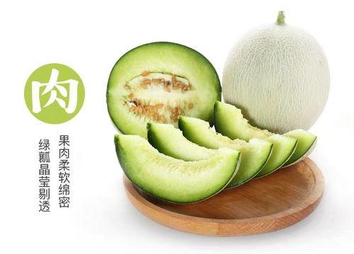 王琪营今日小瓜价,市场行情一览”