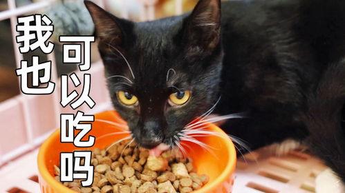 微密猫黑料吃瓜,吃瓜群众热议背后的真相