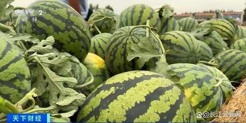 全国各大高校吃瓜黑料,揭秘全国各大高校那些鲜为人知的吃瓜黑料