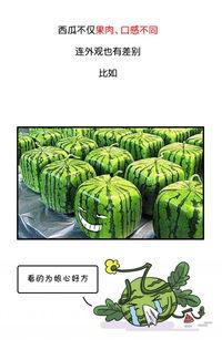 黑历史吃瓜,那些年明星们的黑历史瓜料大公开