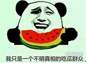 今日份吃瓜是什么意思,网络热词背后的文化现象