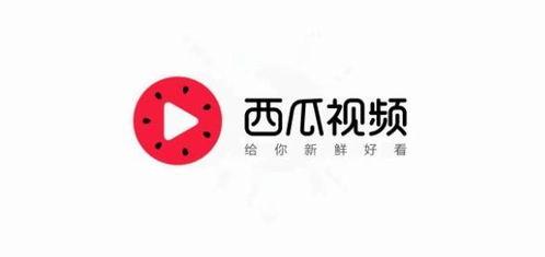 七零大院忙吃瓜今日头条,今日头条聚焦焦点事件