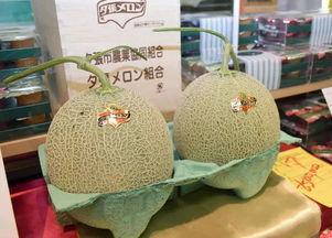 2024年蜜瓜今日行情,新鲜出炉，价格波动解析