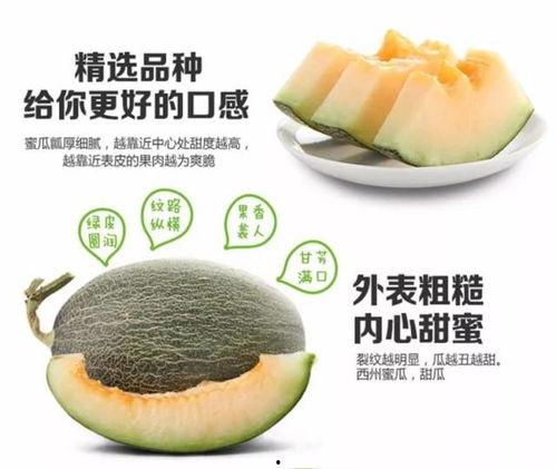 糖尿病人可以吃黑蜜瓜不,黑蜜瓜的甜蜜秘密