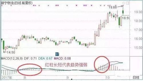 武汉今日头条卖瓜事件,网络舆论与道德争议的漩涡