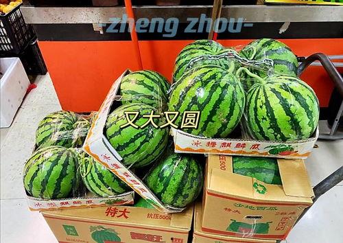 今日郑州瓜价,夏日炎炎，瓜果飘香，价格行情一览