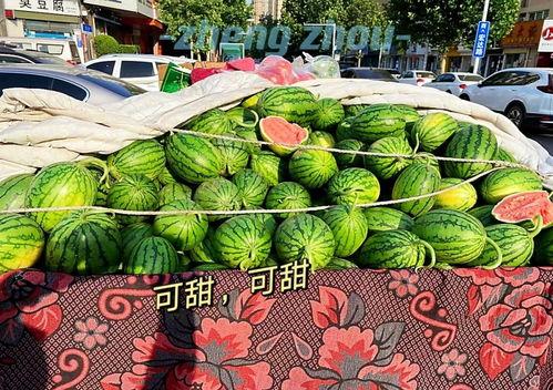 今日郑州瓜价,夏日炎炎，瓜果飘香，价格行情一览