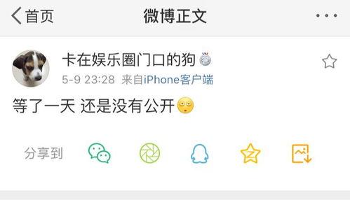 吃瓜爆料销售,揭秘吃瓜爆料背后的销售奥秘