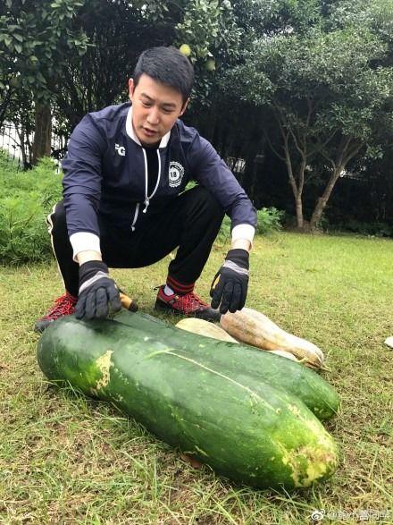 最新的吃瓜爆料,神秘事件背后真相揭秘
