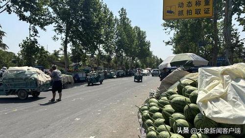 小吊瓜价格最新行情今日,今日行情解析与趋势预测”