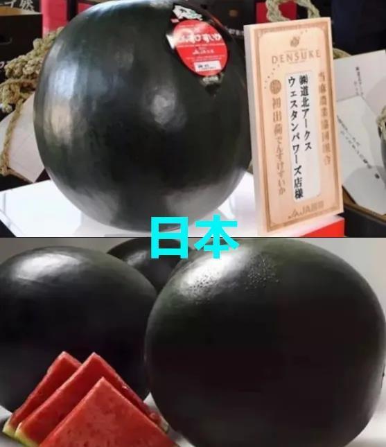 黑反差吃瓜,揭秘娱乐圈背后的惊人真相