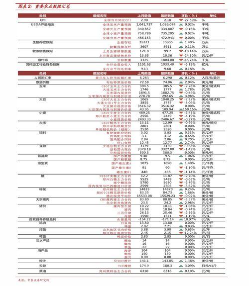 2025佛罗哈密瓜今日价格行情,今日价格走势解析”