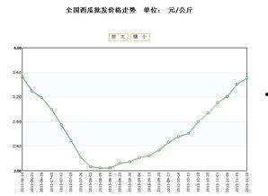 海南今日毛瓜价格行情走势,市场供需分析