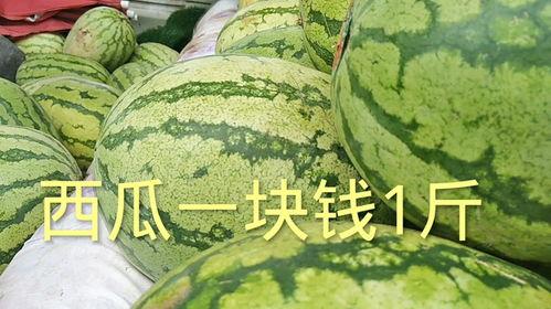 今日哈米瓜多少钱一斤,一斤多少钱？