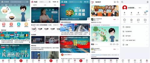 今日热搜蜜瓜视频下载安装,轻松享受热门短视频乐趣