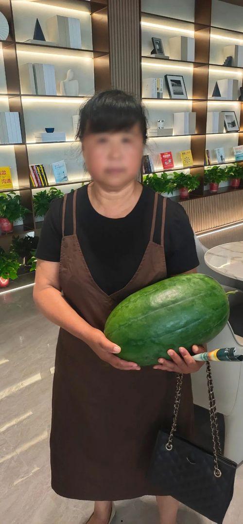 看今日瓜绵绵,娱乐圈热点追踪