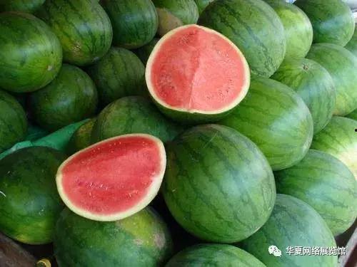 今日红瓜最新价格