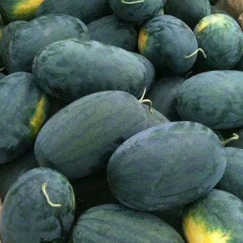 155fun黑瓜吃料2023,155fun年度盛宴，精彩回顾