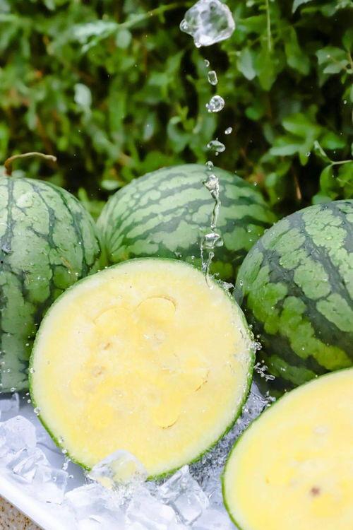 155fun黑瓜吃料2023,155fun年度盛宴，精彩回顾