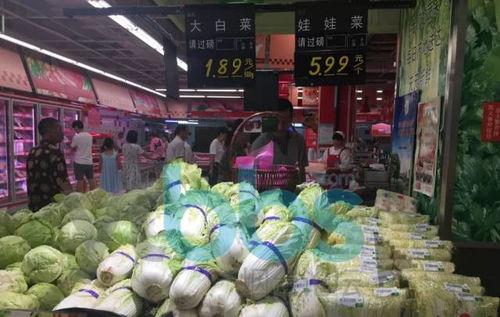 荷兰瓜今日行情