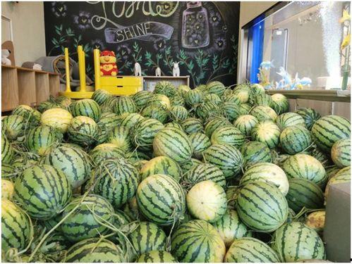 ccggmob今日吃瓜,揭秘娱乐圈最新热点事件