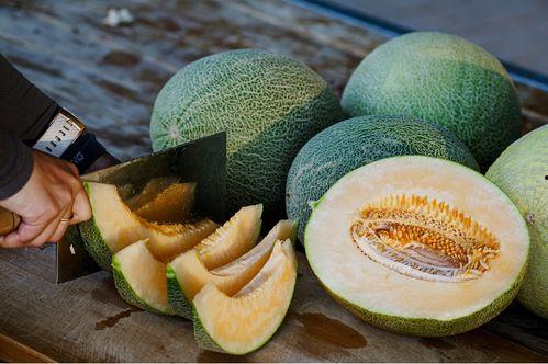 吃黑蜜瓜上火还是下火,上火还是下火，揭秘夏日消暑之谜