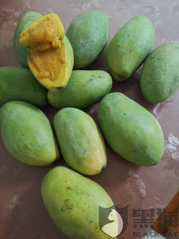 黑蜜瓜烂了可以吃吗,黑蜜瓜烂了还能吃吗？揭秘食用安全与处理方法