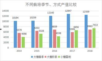 小瓜今日行情分析最新消息,最新动态解析，洞察市场脉动