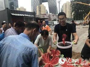 北京朝阳今日吃瓜,今日吃瓜指南，揭秘热点事件背后的真相