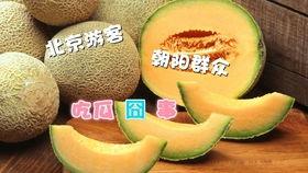 北京朝阳今日吃瓜,今日吃瓜指南，揭秘热点事件背后的真相