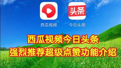 今日头条有哪些瓜,娱乐圈、科技圈、社会热点大揭秘！