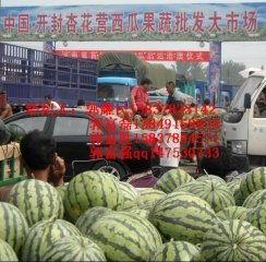 开封露天瓜今日价格,价格行情一览