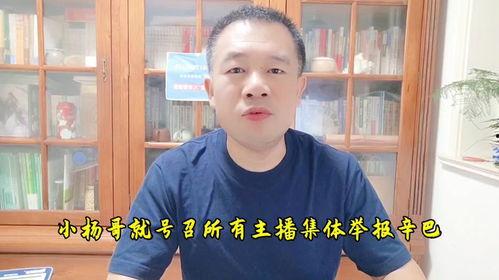 疯狂小杨哥今日大瓜视频,视频内容深度解析