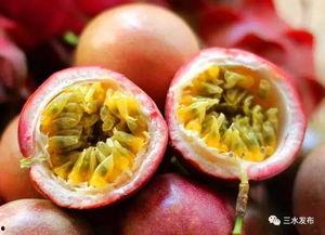 吃瓜群众在线吃瓜今日必吃,吃瓜群众在线狂欢，揭秘娱乐圈最新瓜料