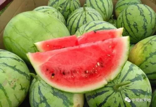 五一吃瓜今日吃瓜在线