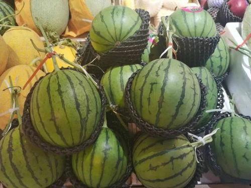 7黑料吃瓜,7黑料事件背后的真相与争议