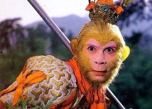 黑悟空小和尚吃瓜