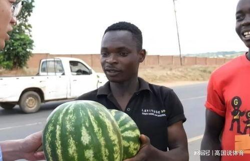大黑瓜让不让吃,揭秘其是否可食用的神秘面纱