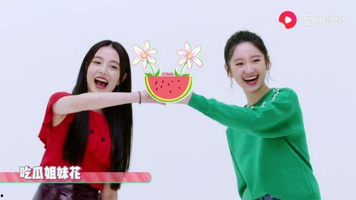 吃瓜爆料姐妹,吃瓜爆料姐妹带你探秘明星幕后故事