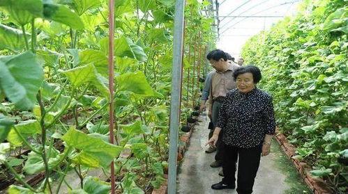 吃瓜网红黑料爆料是真的吗