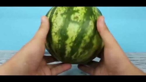 西瓜吃瓜黑料,真相与误解的碰撞