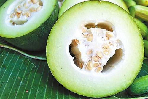 黑瓜吃料历史回顾大全,精彩瞬间与经典战役盘点