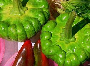 今日姜柄瓜价格,市场动态一览”