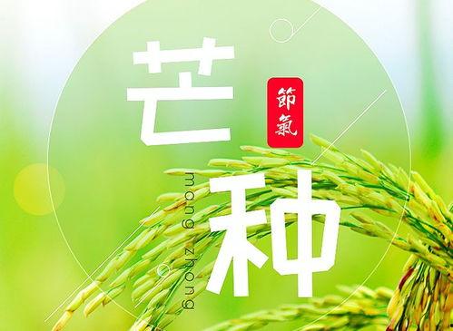 今日吃瓜爆料正能量图片,美好瞬间共分享